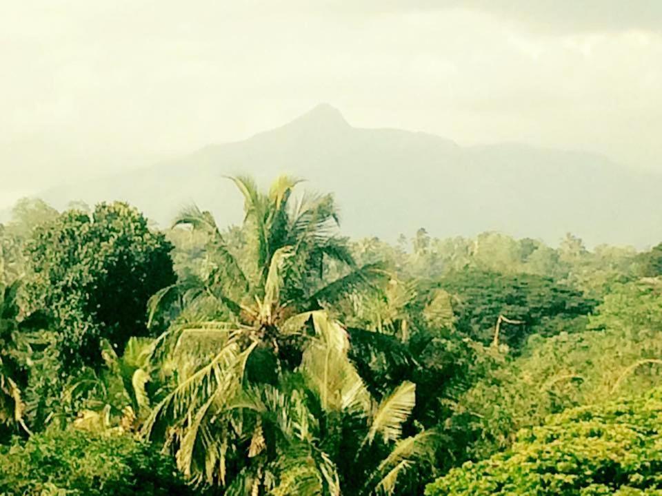 Sura Homestay كاندي المظهر الخارجي الصورة
