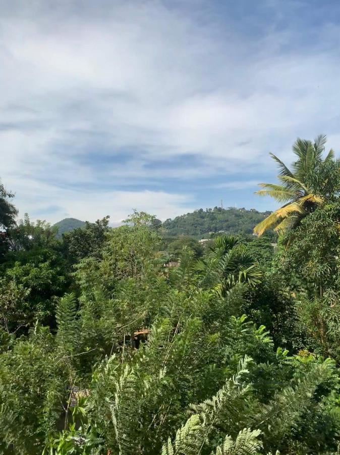 Sura Homestay كاندي المظهر الخارجي الصورة